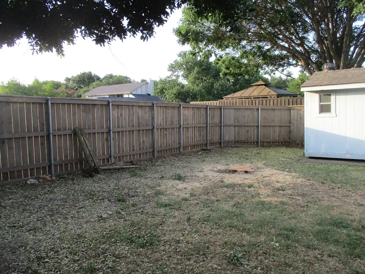 Cleared yard after professional tree removal in Cameron